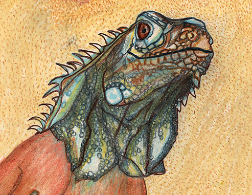 detail of right figure, iguana head